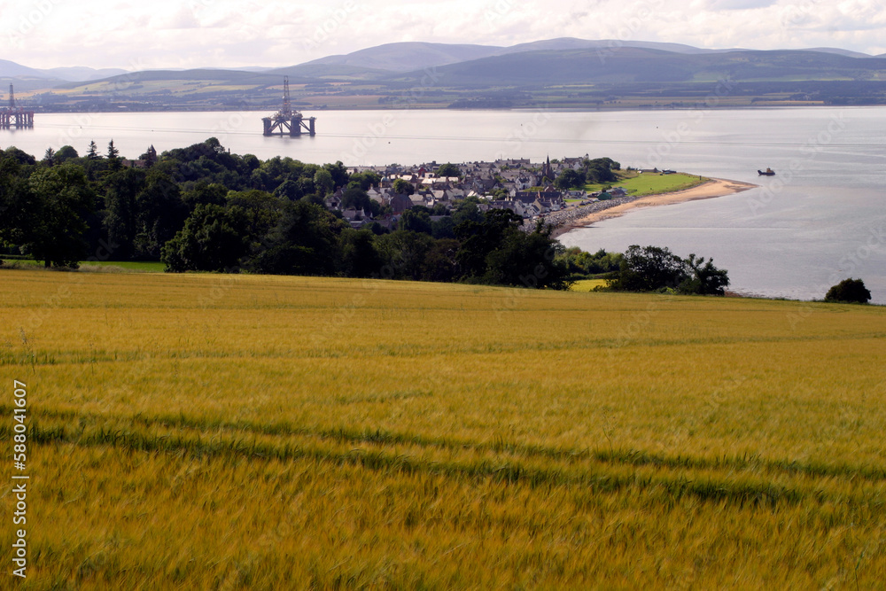 Wheat field - Cromarty - Black Isle - Highlands - Scotland - UK Wheat field - Cromarty - Black Isle - Highlands - Scotland - UK