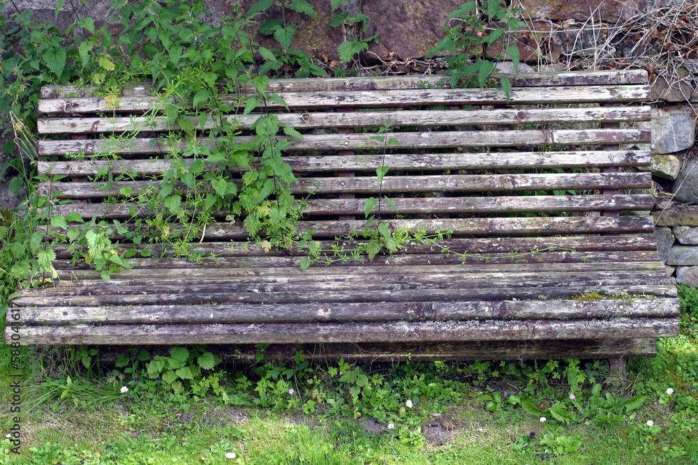 Old bench in graveyard - Cromarty - Black Isle - Highland - Scotland - UK Old bench in graveyard - Cromarty - Black Isle - Highland - Scotland - UK