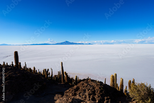 Cactus Island in Salar de Uyuni  Bolivia