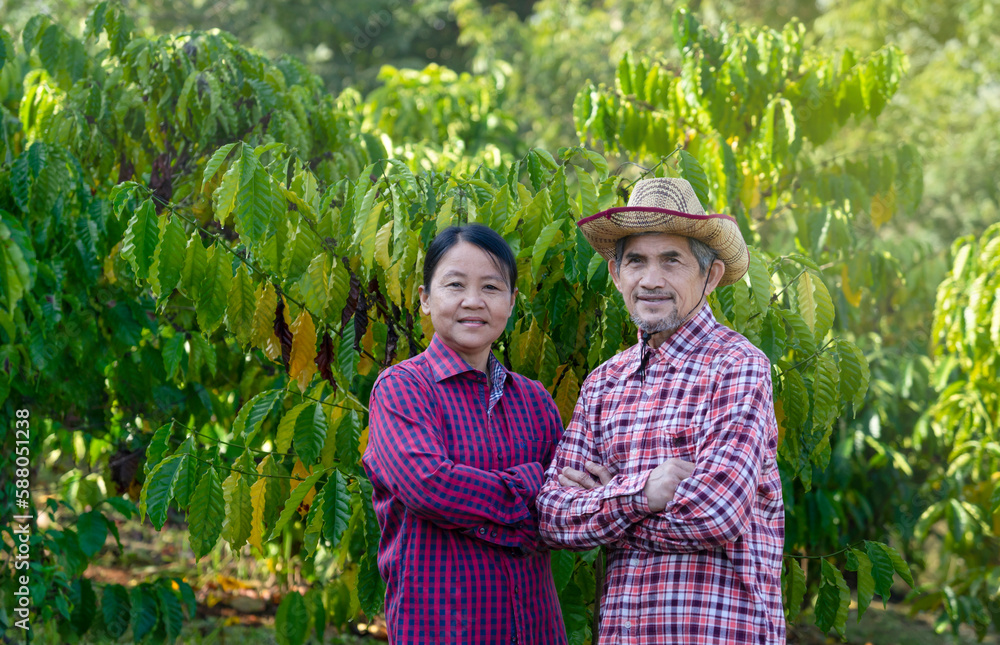 portrait senior couple standing in the coffee farm, coffee agriculture farmer, SME business, business owner