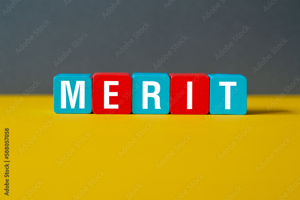 Photography Merit - word concept on cubes, text