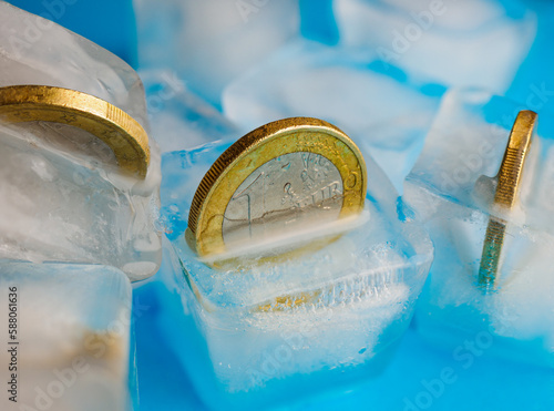 1 euro coins in ice cubes