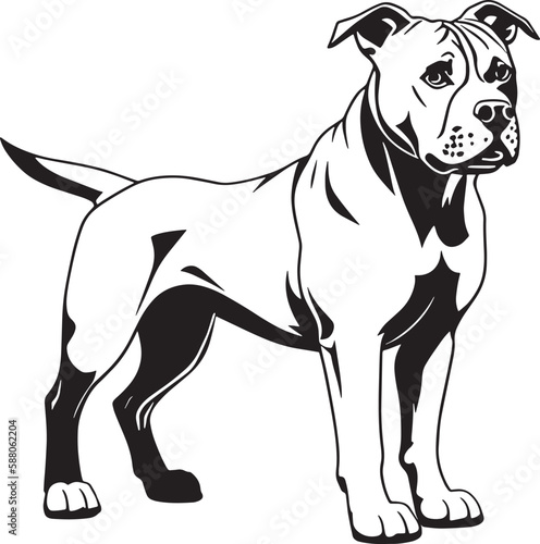 Illustration of a fierce black and white fighting dog, possibly a pit bull, Staffordshire, or mastiff, captured in monochrome