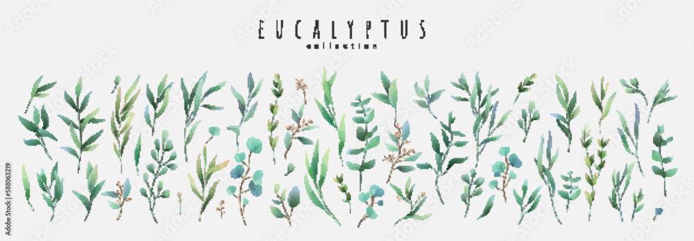 Vector watercolor eucalyptus set. Vintage trendy botanical elements. Hand drawn line leaves branches and blooming. Vector trendy