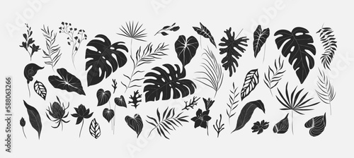 Set of Floral tropical branch of palm and flowers in silhouette and line style. Hand drawn elegant exotic leaves for invitation save the date card design. Botanical trendy