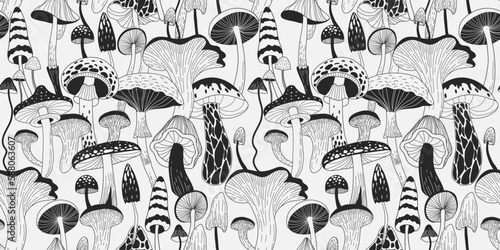 Set of various mystical mushrooms. Hippie magic boho wall art background. Psychedelic vector illustration. Magic and boho texture. Hand drawn style