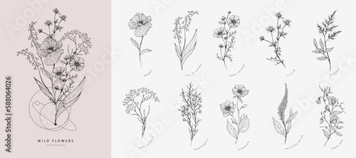 Trendy floral branch and minimalist flowers for logo or decorations. Hand drawn line wedding herb, elegant leaves for invitation save the date card. Botanical rustic trendy greenery