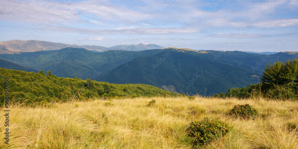 rural landscape in mountains. pastures on the rolling hills of carpathian mountains. sunning view at sunset