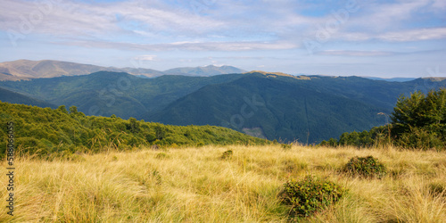 rural landscape in mountains. pastures on the rolling hills of carpathian mountains. sunning view at sunset