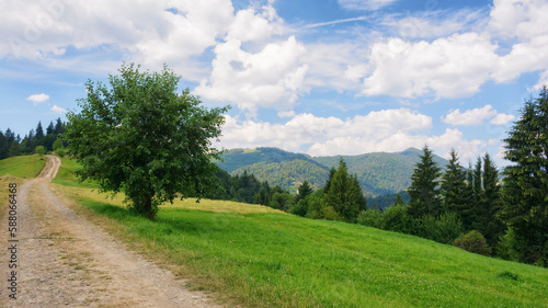 rural road through green meadows on rolling hills. hiking through carpathian rural area. mountain landscape in summer on a sunny day. ridge in the distance © Pellinni