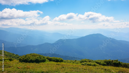 hiking trail through carpathian mountains. summer nature scenery with beautiful views and open vistas in the distance