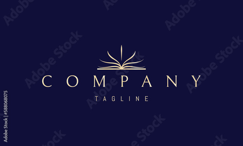 Vector golden logo on which an abstract image of an open book, between the pages of a light.
