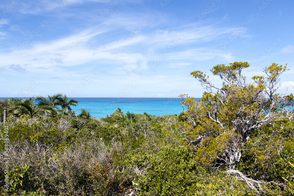 Half Moon Cay Island Forest And Caribbean Sea Half Moon Cay Island Forest And Caribbean Sea