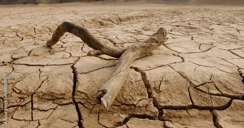 Close up shot of dead branch lying on deserted ground. Driftwood on cracked soil mud dried after erosions and desertification - ecological disaster concept 