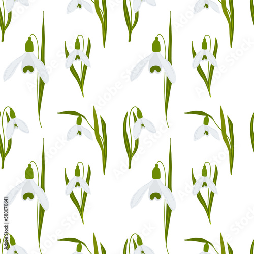 Fototapeta Naklejka Na Ścianę i Meble -  Snowdrop flowers spring seamless pattern. Vector illustration