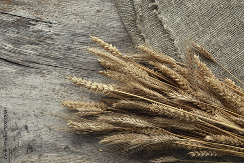 spikelets of wheat on an oak table
