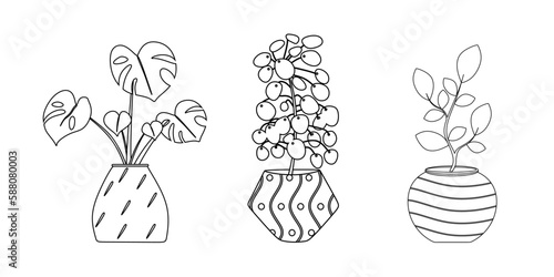 Hand drawn set of house plant in a pot. Outline room plant collection isolated on white background. Linear vector illustration
