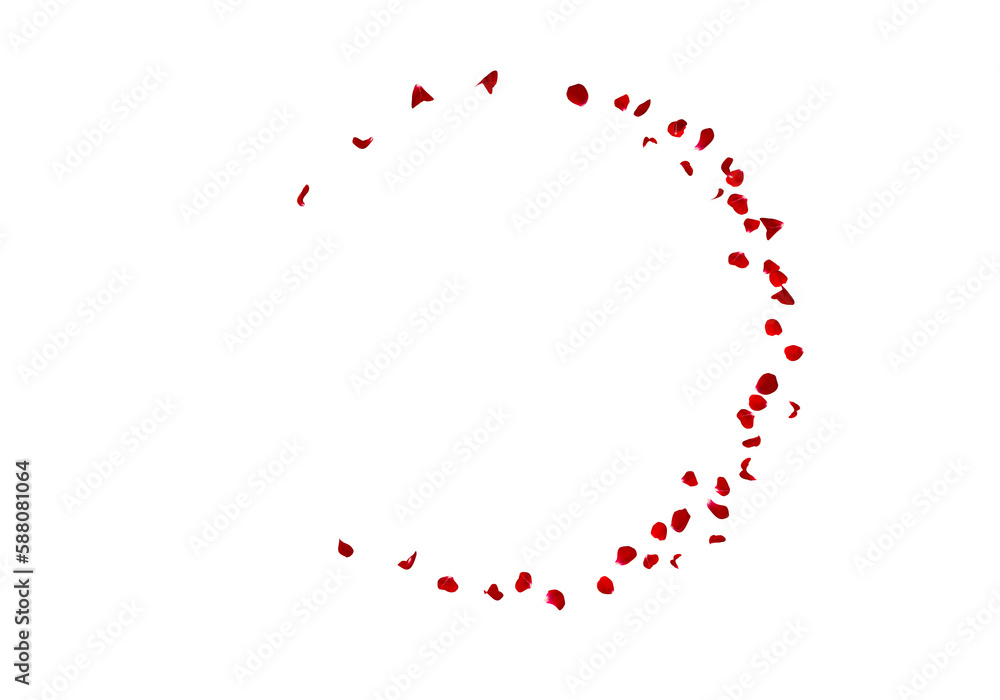 Flower foliage circle overlays, golden ring, backdrop overlays, maternity rings, art portrait, Digital Background, texture, png Flower foliage circle overlays, golden ring, backdrop overlays, maternity rings, art portrait, Digital Background, texture, png
