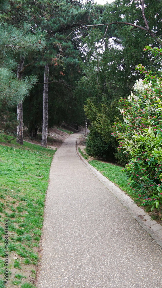 Chemin en béton et écologique traversant une zone forestière et de plantes exotiques, avec escaliers et quelques marcheurs ou pas, sur du gazon de verdure bien entretenu et coloré et des arbres