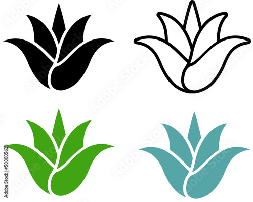 vector set of aloe vera plant