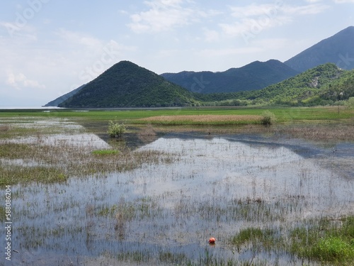 Sumpfige Landschaft am Skadar-See in Montenegro photo