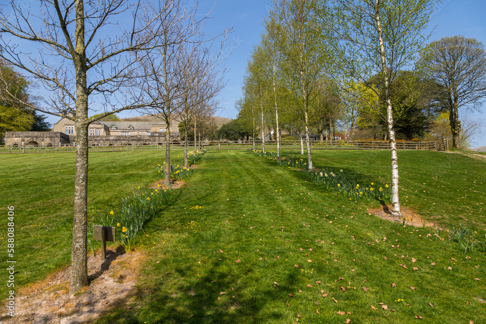 Obraz premium View of the gardens in the Sedbergh village. Yorkshire Dales, England, UK.