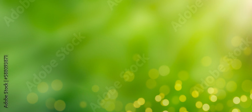 Abstract green background with defocus lights and sun rays and glare. Copy space, banner. Summer or spring mood.