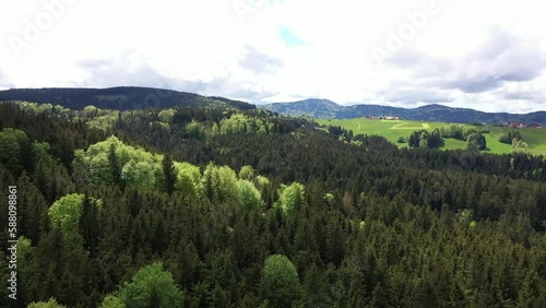 aerial view of a mixed forest in the summertime, young spring greens,drone photography,
