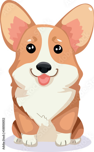 Cute Corgi Dog