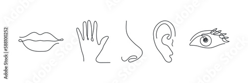 Five human senses one line drawing set. Touch, smell, taste, look, hear icon. 5 five types symbols. Vector illustration
