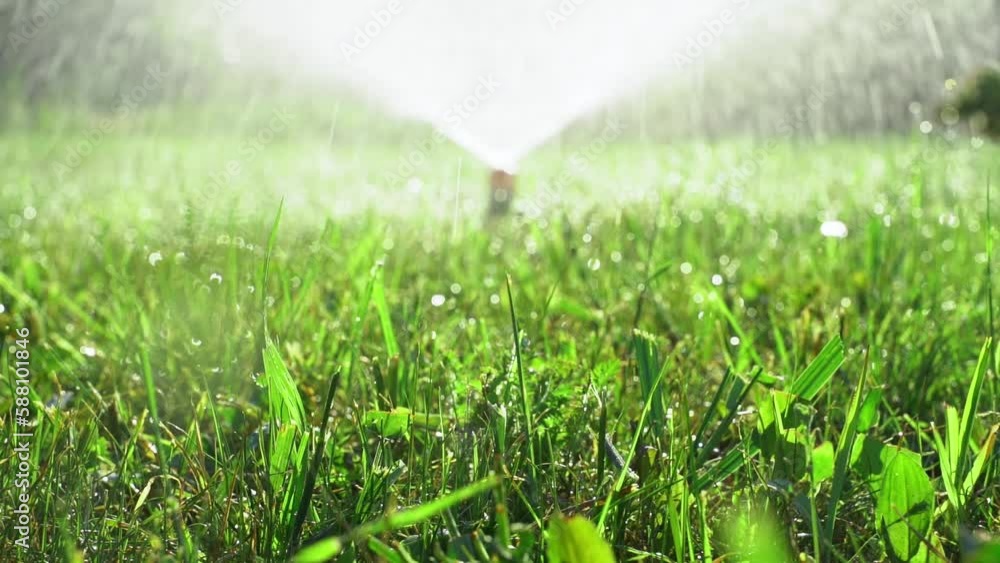 Sprinkler head watering green grass lawn. Gardening concept. Smart