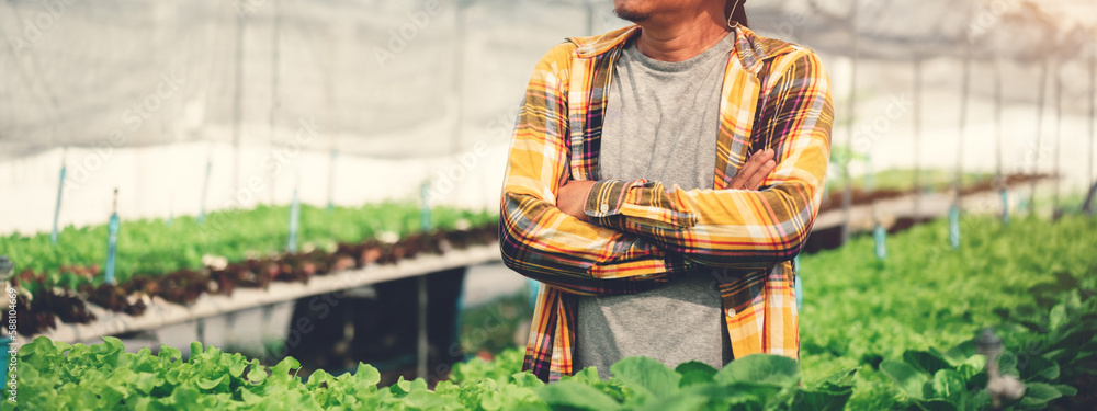 Panoramic banner of a man standing and arm crossed in hydro vegetable greenhouse in hydroponic farm, Small business owner organic farm for healthy food restaurant.