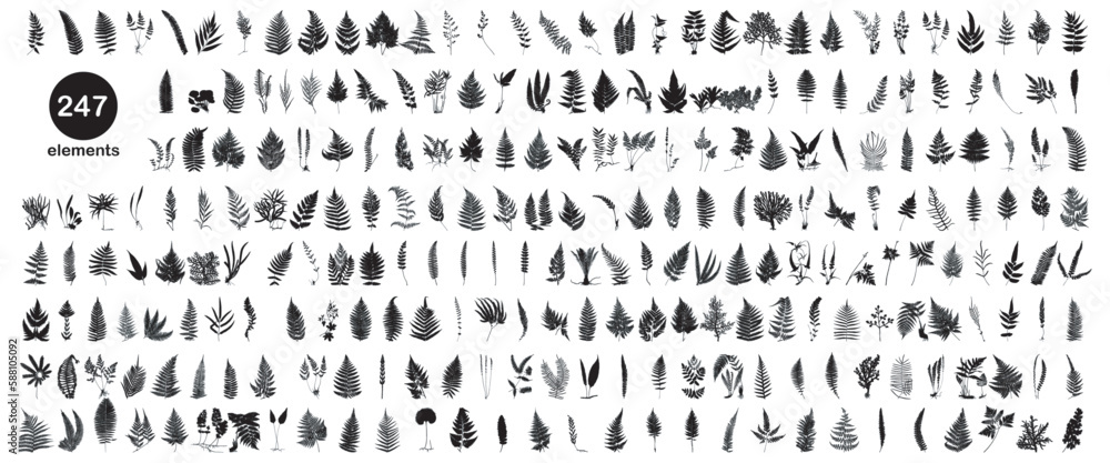 fern silhouette set fern silhouette set