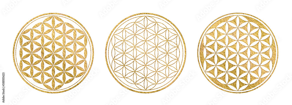 golden flower of life symbol in three variations, yoga / sacred geometry / zen icon with gold texture isolated over a transparent background - obrazy, fototapety, plakaty 
