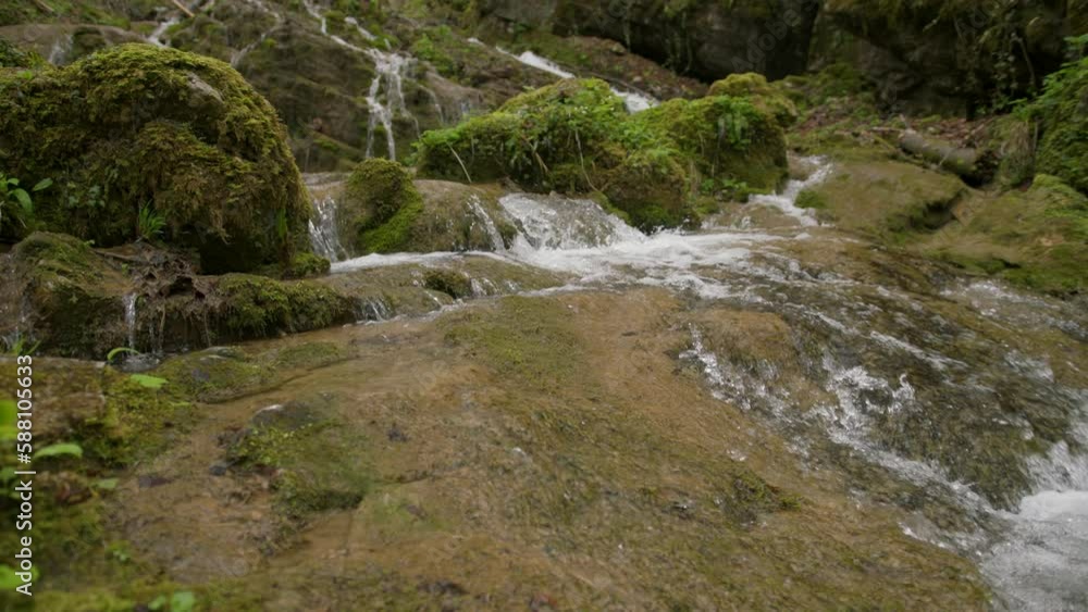 Beautiful forest stream pan camera movement. Beautiful forest stream pan camera movement.