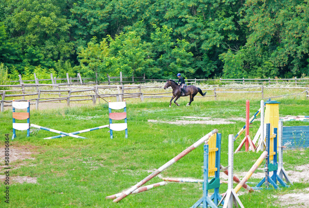 Young rider at show jumping. Horse rider jumps over hurdle Young rider at show jumping. Horse rider jumps over hurdle