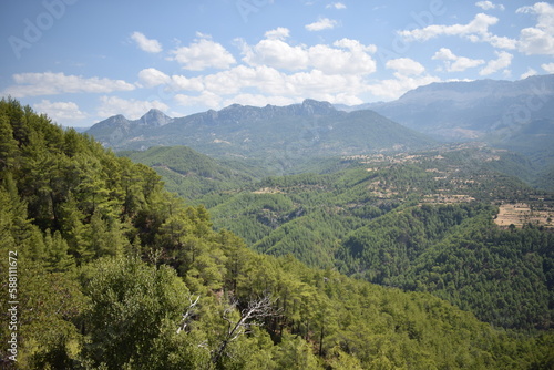 Turkish mountains near the Tazi Canyon . Green Forest.