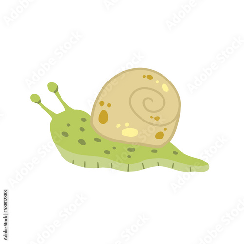 Snail with shell. Small green insect. Forest slow slimy animal.