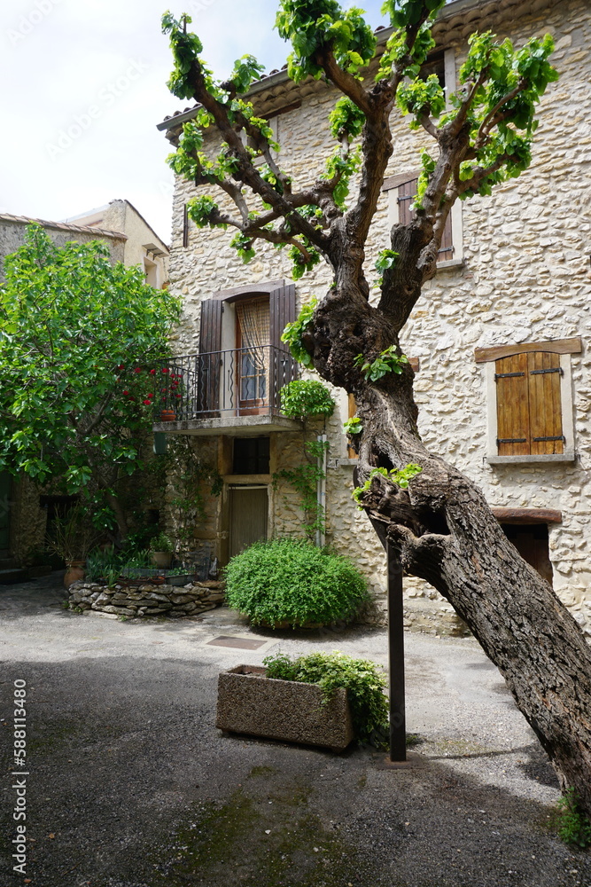 old stone  house in the village by a lone tree leaning dangerously and held by a metal pole in the south of France