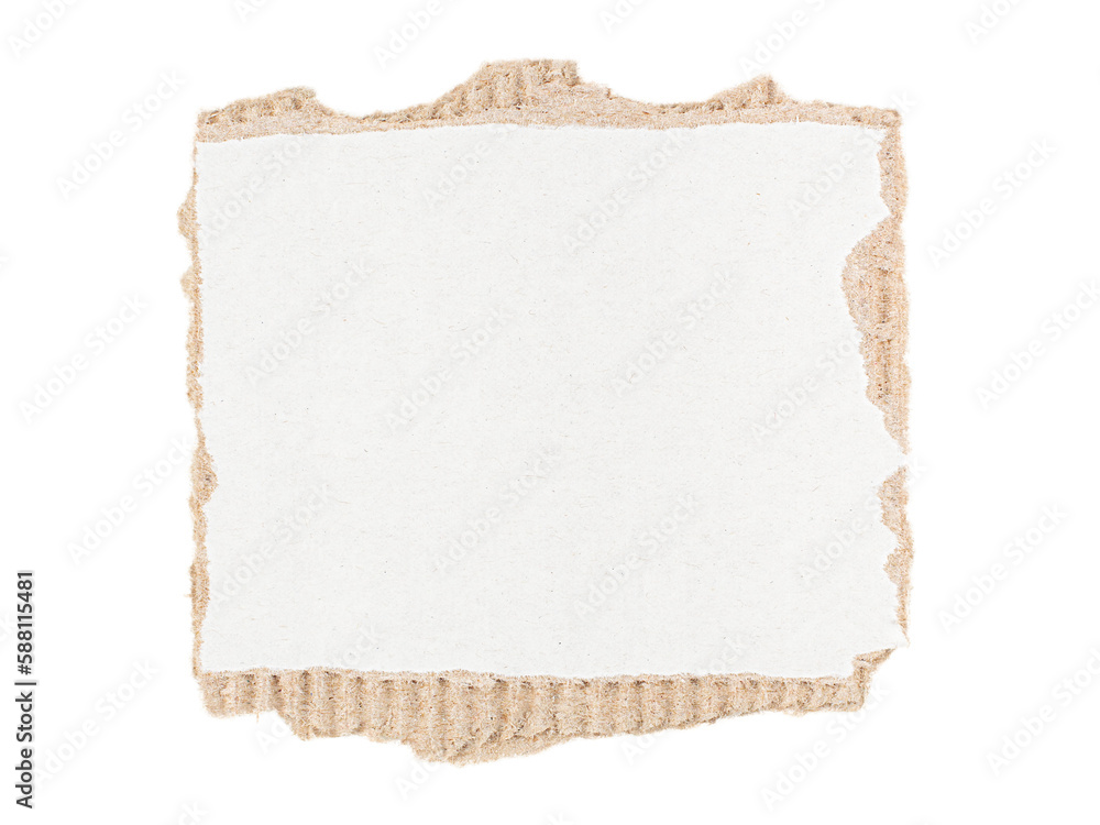 Torn cardboard paper with copy space isolated on transparent background
