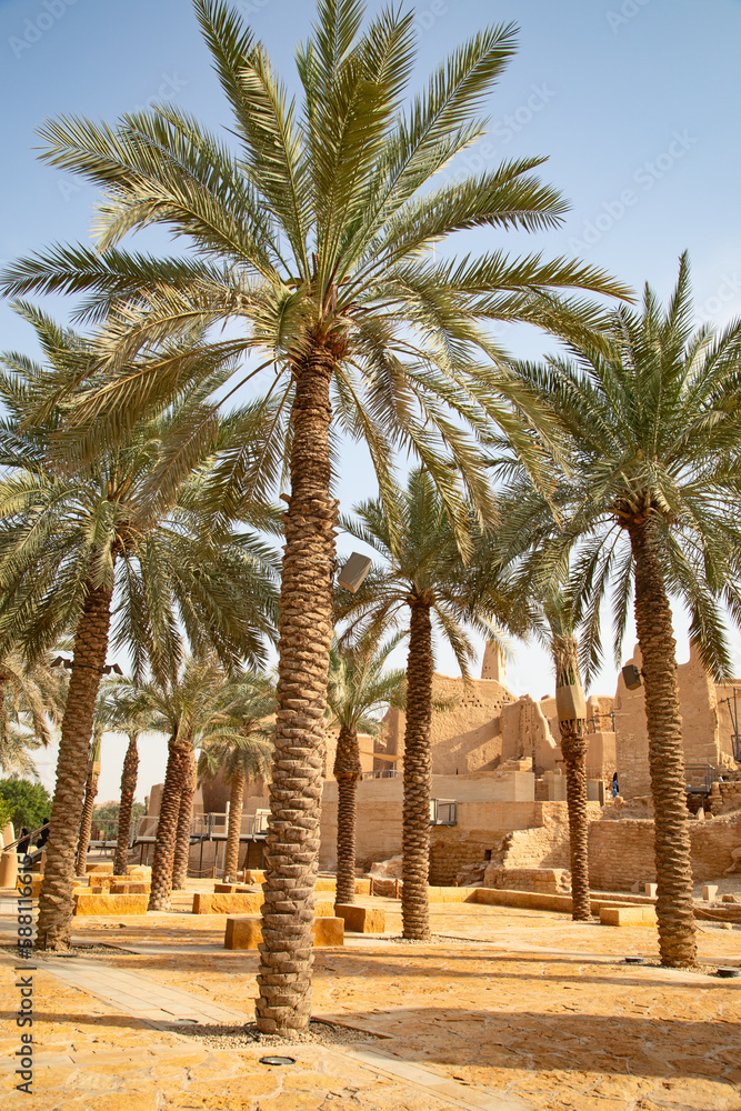 Fototapeta premium Old arabic city