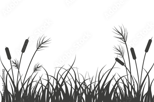  Reeds and grass silhouette. River landscape with plants on white background. Flat vector illustration. 