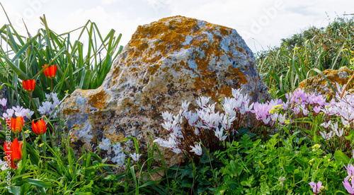 stone on the lawn surrounded by flowers
