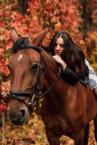 A woman on a horse in the autumn forest. Riding © Ирина Санжаровская