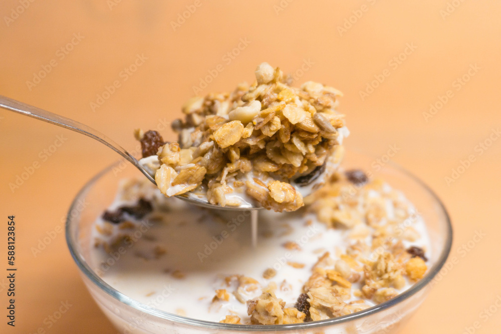 muesli in a glass bowl with milk muesli in a glass bowl with milk