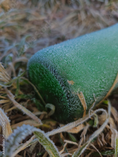 Close-up of a frosted green bottle abandoned on the grass on a frosty winter morning, Lodz, Poland