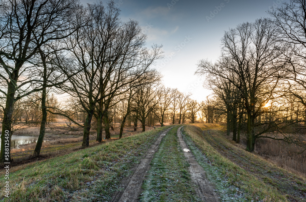 Droga na wale przeciwpowodziowym na Odrze / Road on the flood embankment on the Odra river Droga na wale przeciwpowodziowym na Odrze / Road on the flood embankment on the Odra river