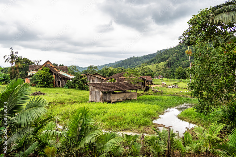 Green fields and meadows in the countryside of Pomerode, Santa Catarina in Brazil Green fields and meadows in the countryside of Pomerode, Santa Catarina in Brazil