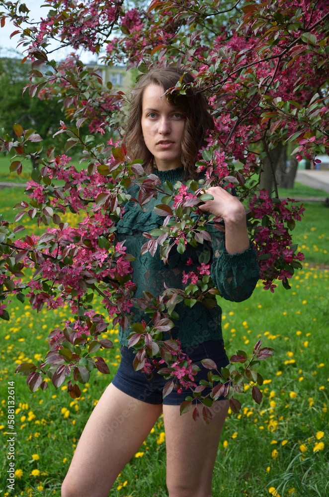 beautiful young woman near a flowering tree with pink flowers beautiful young woman near a flowering tree with pink flowers