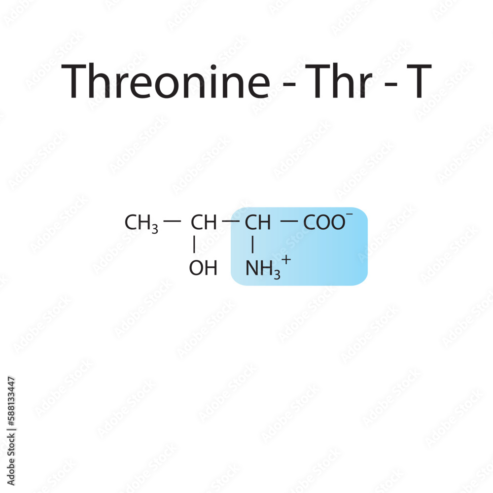 Threonine - Thr - T amino acid structure. Skeletal formula with amino group highlighted in blue. Scientific illustration. Threonine - Thr - T amino acid structure. Skeletal formula with amino group highlighted in blue. Scientific illustration.